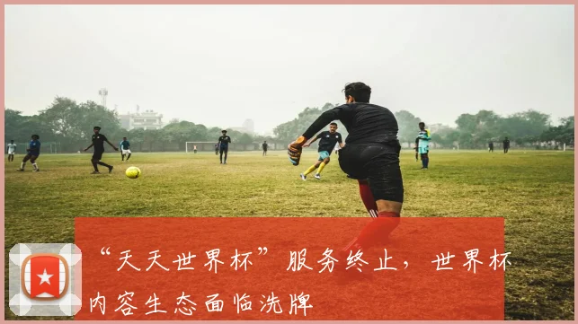 “天天世界杯”服务终止，世界杯内容生态面临洗牌