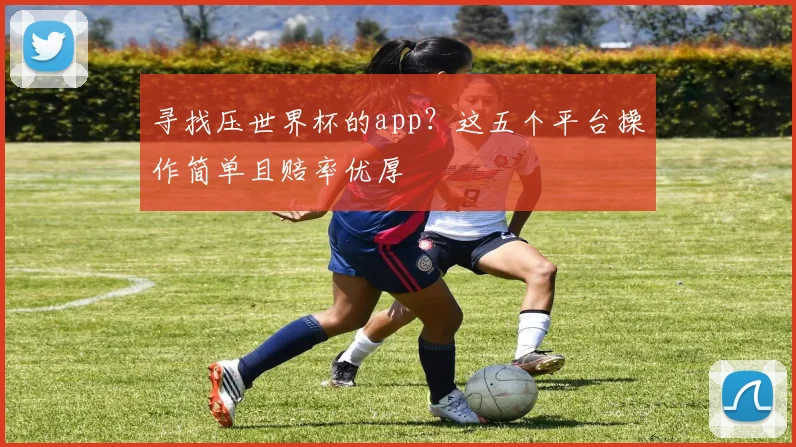 寻找压世界杯的app？这五个平台操作简单且赔率优厚