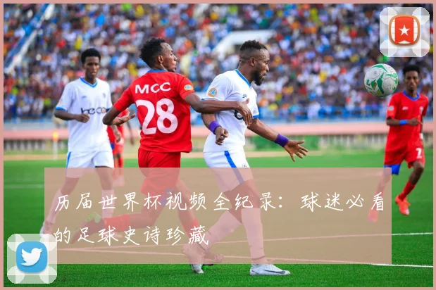 历届世界杯视频全纪录：球迷必看的足球史诗珍藏