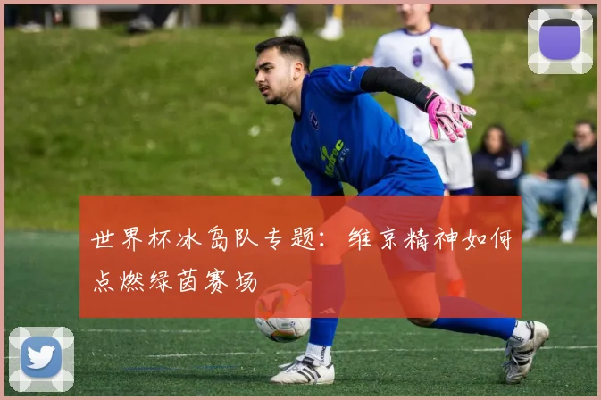 世界杯冰岛队专题：维京精神如何点燃绿茵赛场