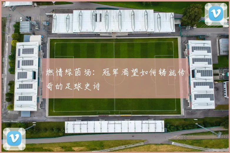 燃情绿茵场：冠军渴望如何铸就传奇的足球史诗