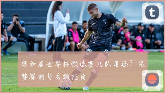 想知道世界杯预选赛几队角逐？完整赛制与名额指南