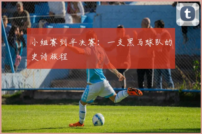 小组赛到半决赛：一支黑马球队的史诗旅程