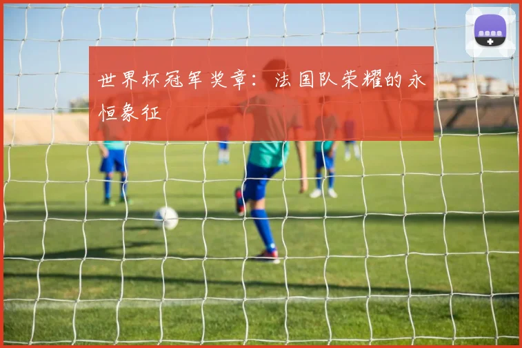 世界杯冠军奖章：法国队荣耀的永恒象征