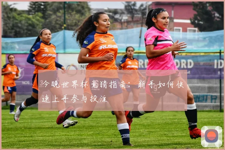 今晚世界杯竞猜指南：新手如何快速上手参与投注