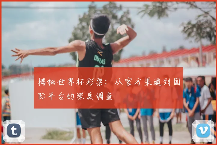 揭秘世界杯彩票：从官方渠道到国际平台的深度调查