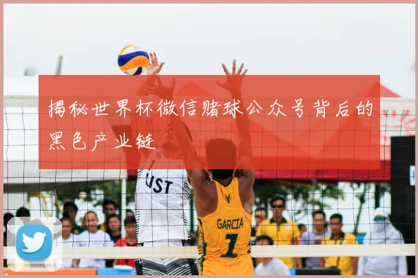 揭秘世界杯微信赌球公众号背后的黑色产业链